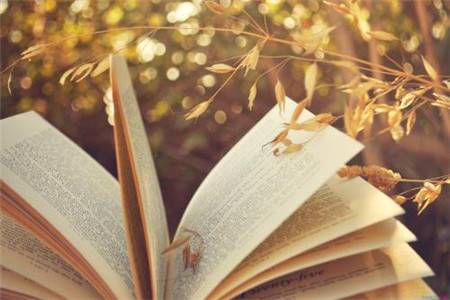 常州专转本学历被承认吗?