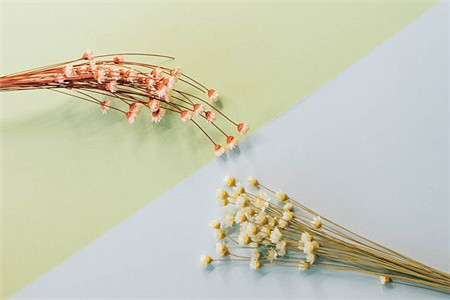 江苏专转本招收外省学生吗?