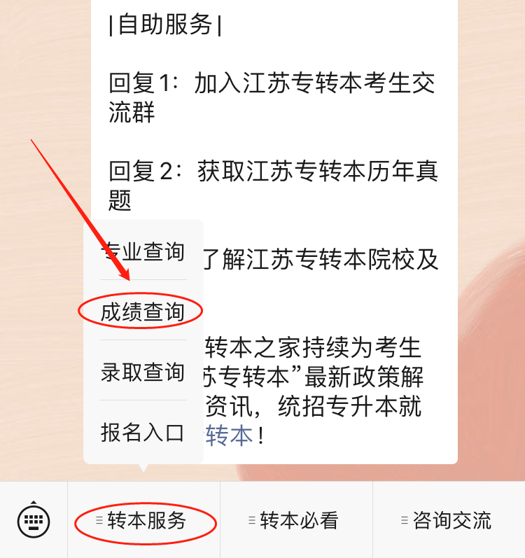 江苏专转本成绩如何查询