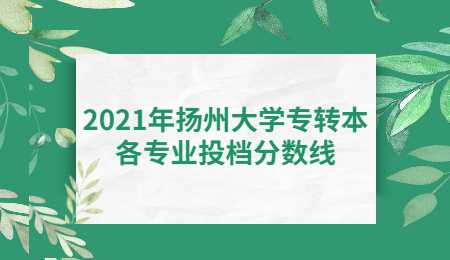 扬州大学专转本投档分数线