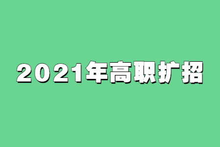 2021年高职扩招