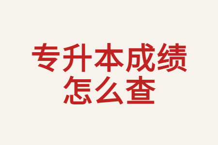 专升本成绩怎么查