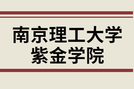 南京理工大学紫金学院