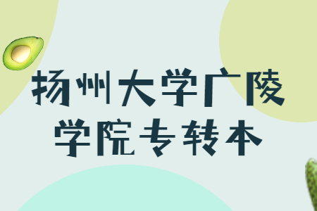 扬州大学广陵学院专转本