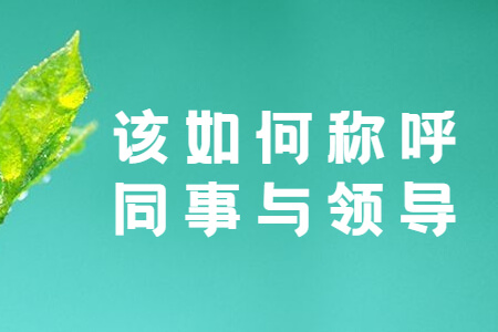 该如何称呼同事与领导