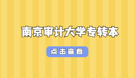 南京审计大学专转本分数线