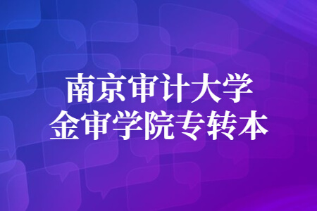 南京审计大学金审学院专转本