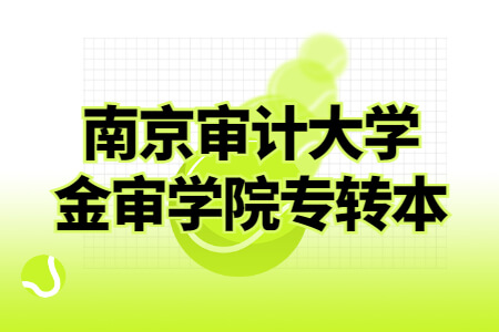 南京审计大学金审学院专转本