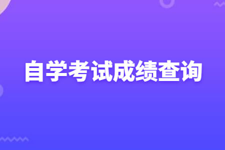 自学考试成绩查询