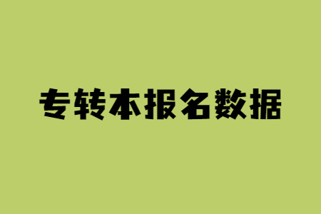 专转本报名数据