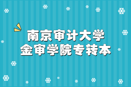 南京审计大学金审学院专转本