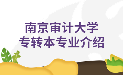 南京审计大学专转本