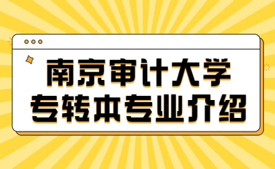 南京审计大学专转本