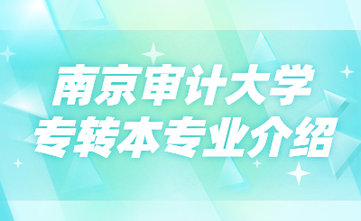 南京审计大学专转本