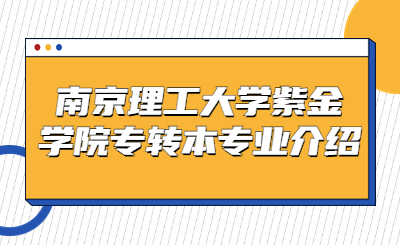 南京理工大学紫金学院专转本