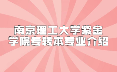 南京理工大学紫金学院专转本