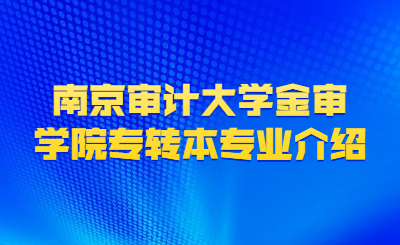 南京审计大学金审学院专转本