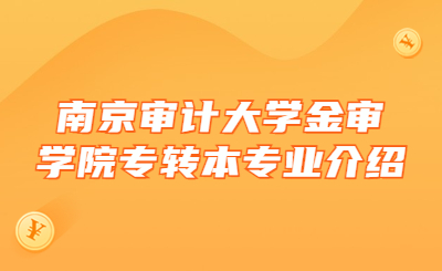 南京审计大学金审学院专转本