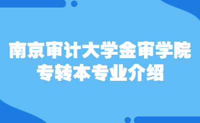 南京审计大学金审学院专转本