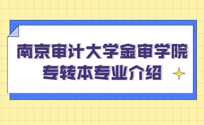 南京审计大学金审学院专转本