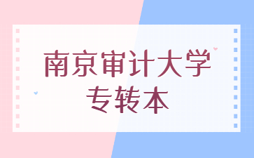 南京审计大学专转本