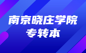 南京晓庄学院专转本招生计划