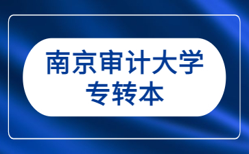 南京审计大学专转本