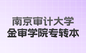 南京审计大学金审学院专转本