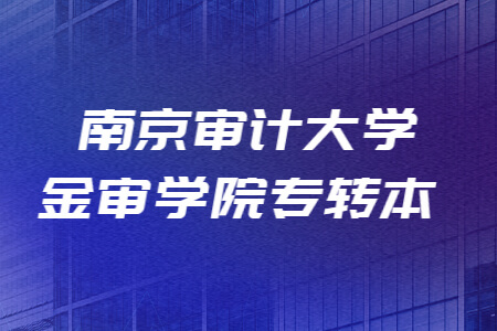 南京审计大学金审学院专转本