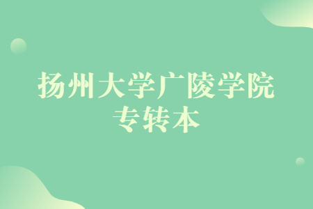 扬州大学广陵学院专转本招生计划